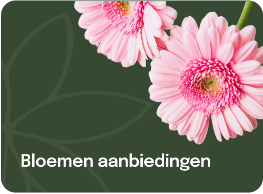 Flower Offer Tile